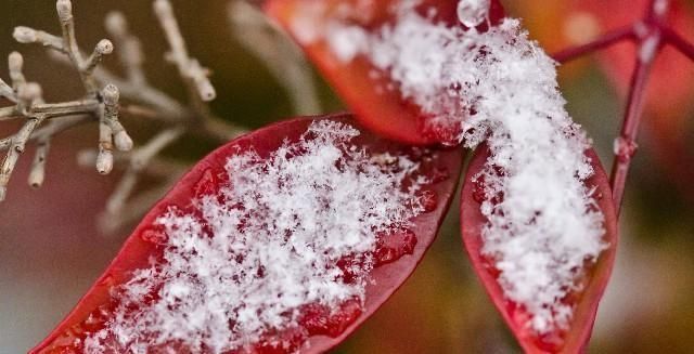  句句|最值得收藏的经典语录，句句深入人心，说出了你的心声