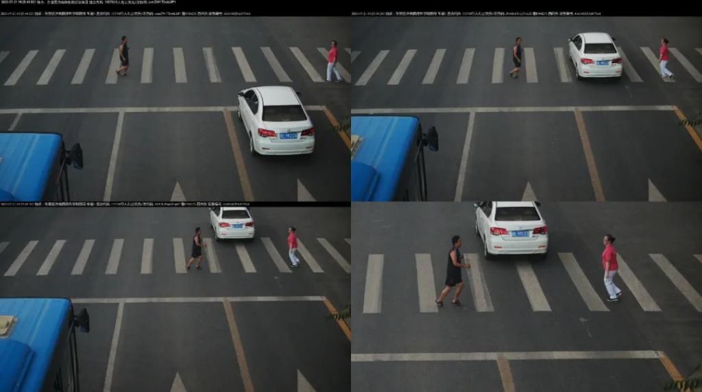 车辆|创城交警在行动丨不礼让斑马线,这些车辆被曝光了!