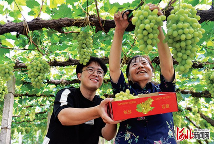 河北|影像河北|塞外山城遇见美