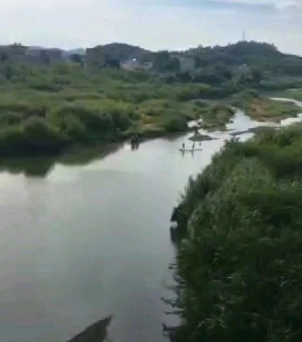  溺亡|【悲剧】又一14岁小学生河里游泳溺亡....