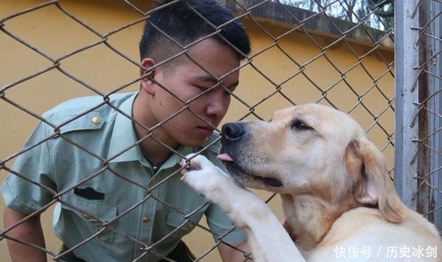  赚足|老兵退伍被军犬察觉，狗狗咬住包裹哀求他别走，场景赚足热泪