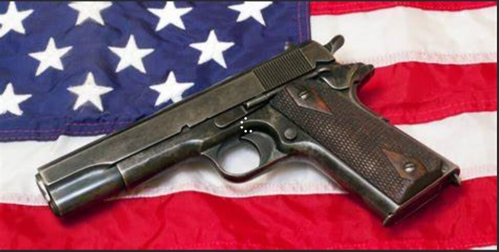  游戏|9岁弟弟游戏不听指挥，美国13岁男孩开枪将弟射杀，等成年后受审