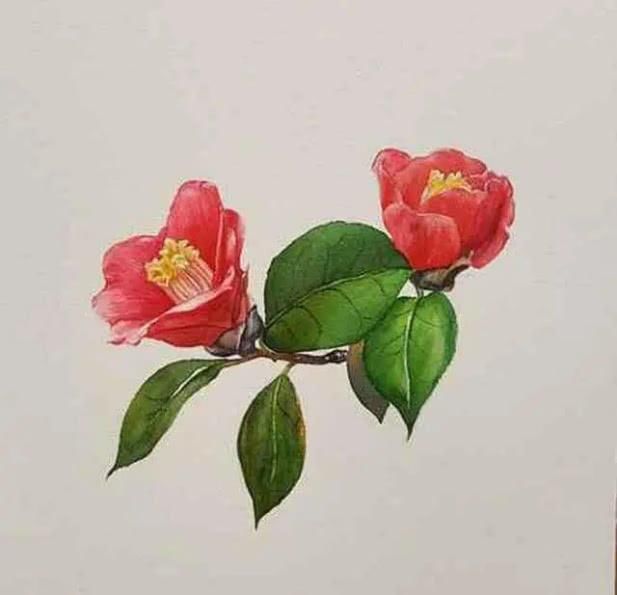  临时|一个人，好运来临时，往往有这3个表现，恭喜了！