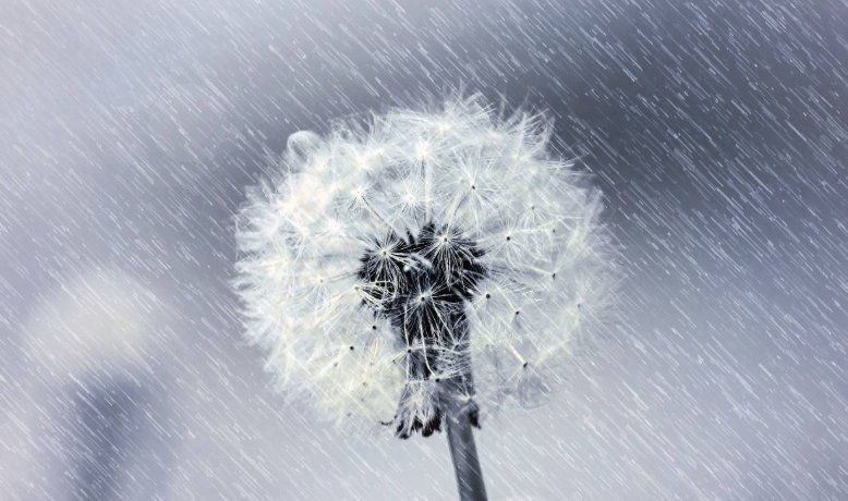 金牛|天秤座: 能让你开心无忧的5个星座, 让人开心、乐观的星座