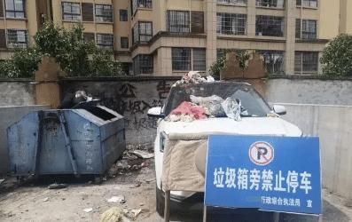 职业离婚|你们整天都吃些啥，表面看起来很饱满实际上切开却是这个样子，哈哈哈哈哈哈