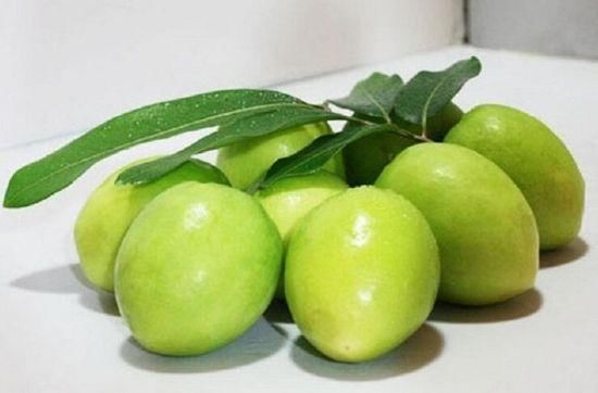 青枣它|青枣的种类有哪些?你都吃过吗