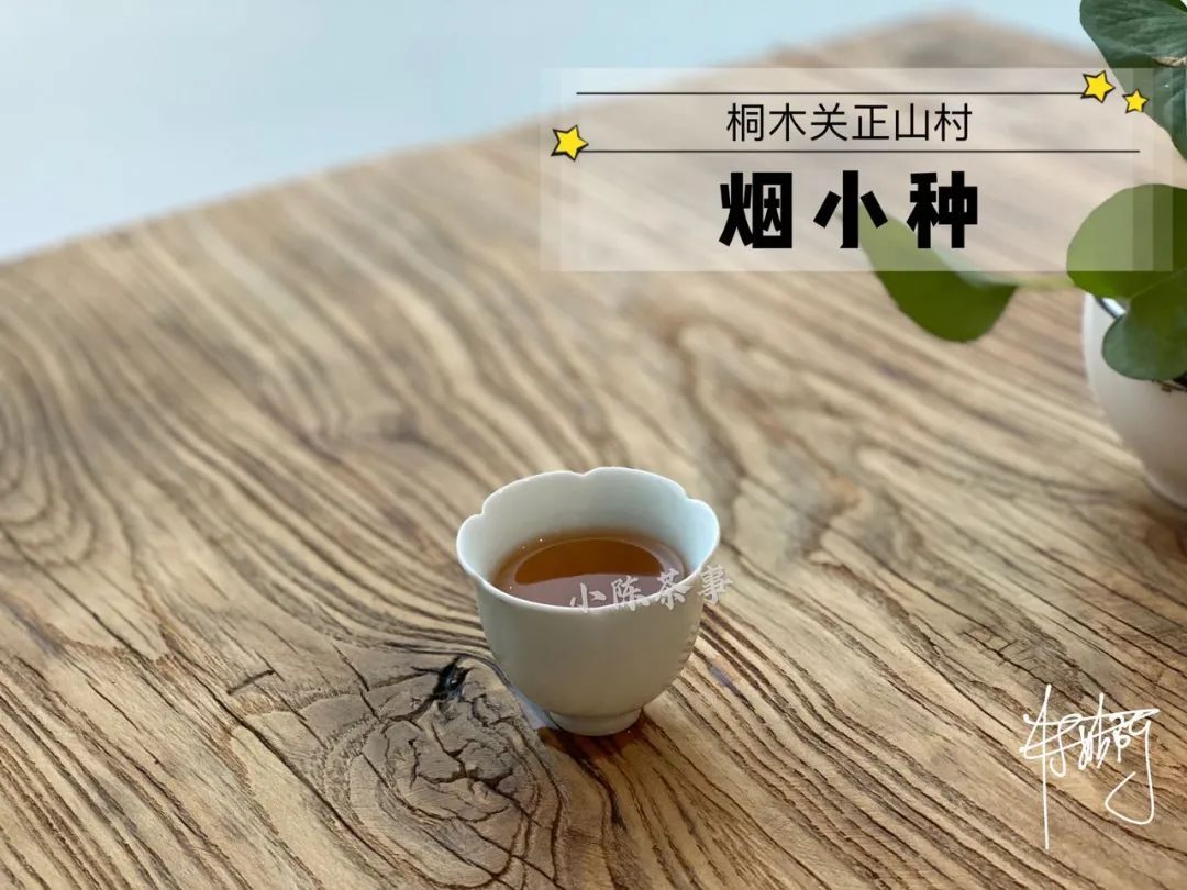 传统|从老丛红茶、烟小种到花香小种，这款红茶代表了传统小种的定义