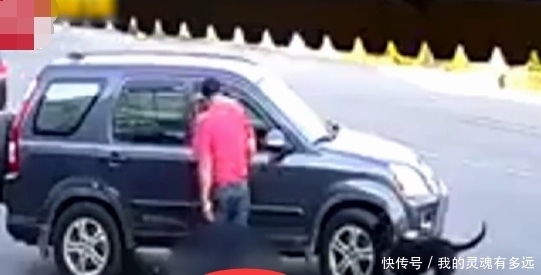  来回|黑狗躺在路上，被男子开车来回辗压狠踹，一旁同伴急得狂吠打转！
