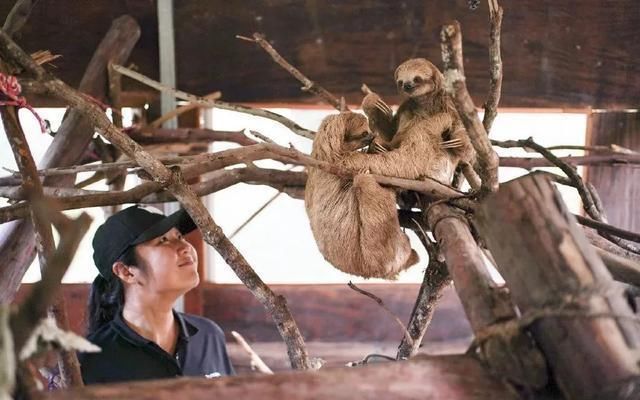 回来|卖掉房产旅行10年，回来发现赚了2亿，他们才是乘风破浪的夫妻