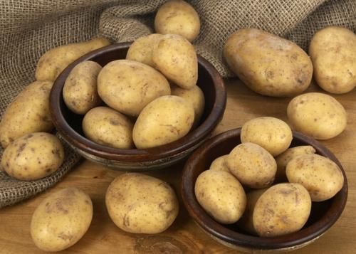  和大|现在的土豆为什么那么大，小的和大的有什么区别呢？