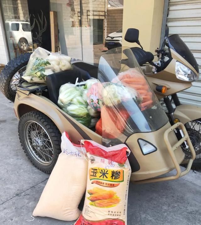 出场|记者深入调查:楚雄市被抓的流浪犬哪去了?