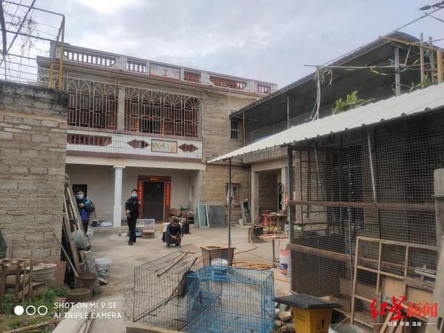  抓获|四川泸州警方破获跨省野生动物买卖案，解救水獭猕猴等多只国家保护动物