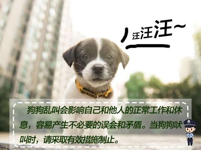 收藏|文明养犬，宠爱有方，《朋友圈式养犬指南》请收藏！