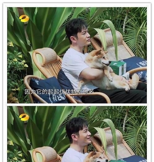 鼓励|黄晓明和黄磊在《向往的生活》疑似鼓励肖战,何炅一句话都没说