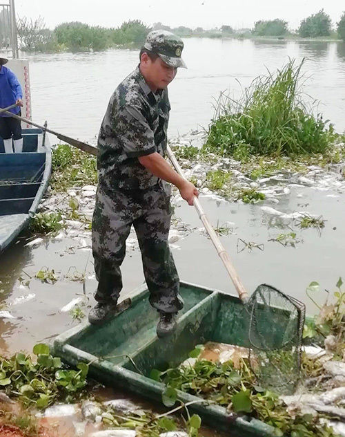 县人武部组织|争分夺秒！军地联动做好灾后重建