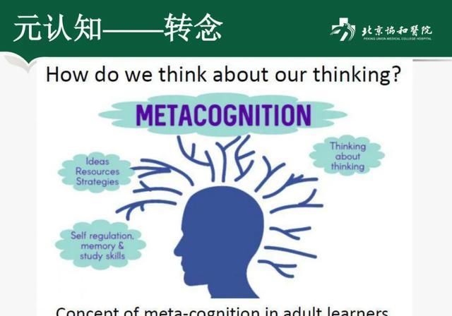  教育|通过健康教育教学成长——从我的经历谈起第四部