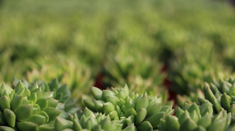  爱情|8月初，爱情雨落风吹，摇摇欲坠，4大星座坚持维护，爱情圆满