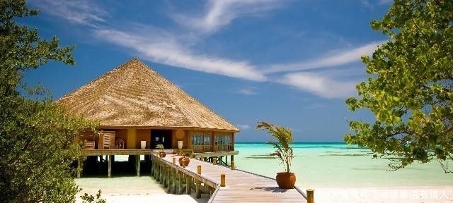 受益|简单朴素的名言,悲痛欲绝,使人终生受益