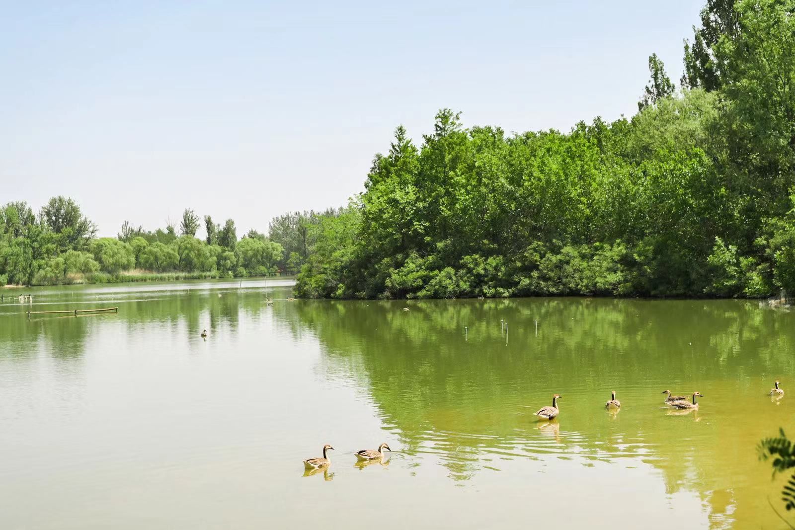 世界环境日北京主场活动在翠湖国家城市湿地公园举办