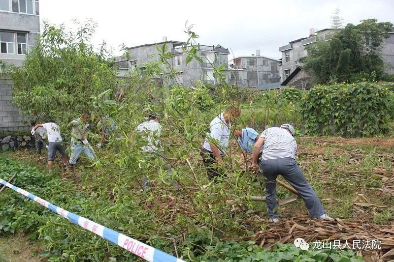 争执责任田|龙山法院依法强制执行一起排除妨害纠纷案件
