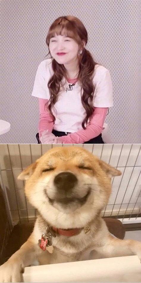 简直|原来《乘风破浪的姐姐》是一档表情包还原节目,简直是神还原