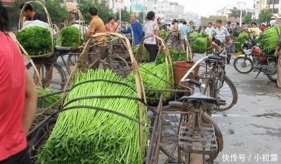 蔬菜|中国不起眼的蔬菜，起了个“洋名字”，出口到美国，卖的比肉还贵！