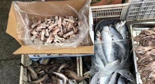 嫌弃|被人误解最深的鱼,因冷冻被人嫌弃,其实它比鲅鱼香,比鲫鱼营养