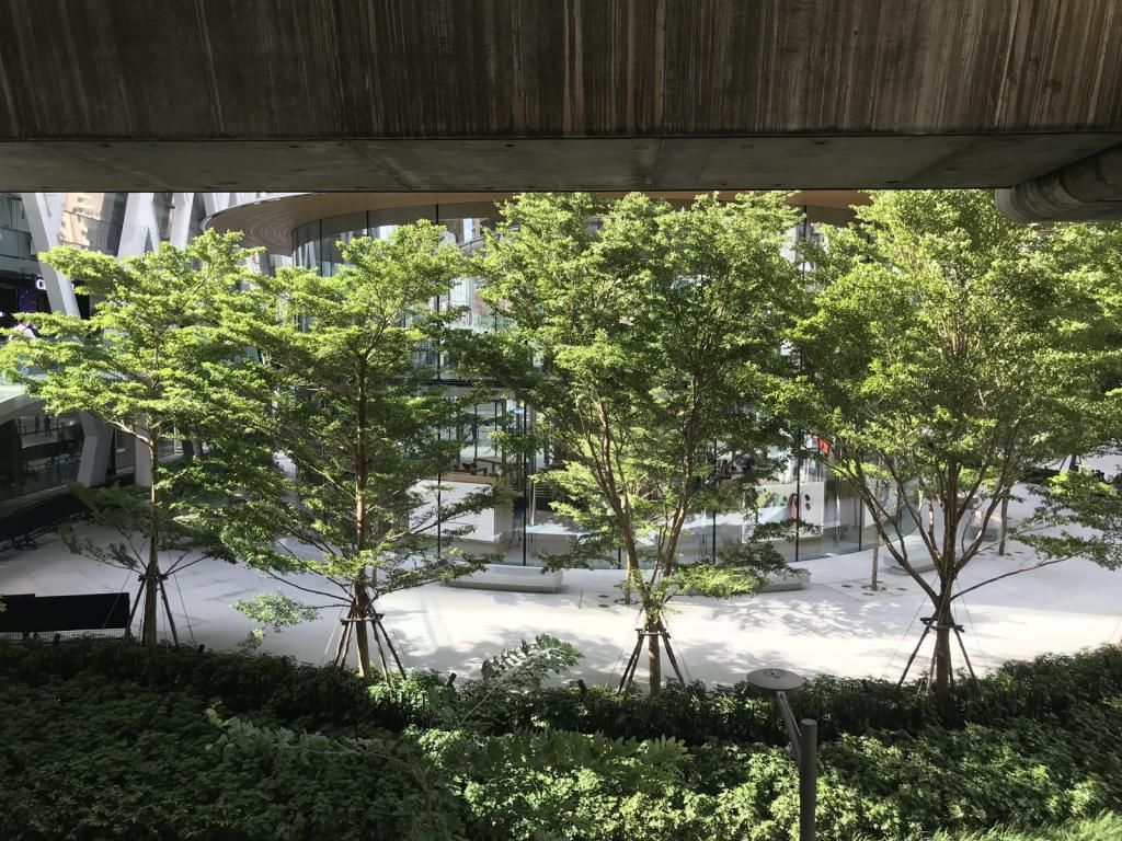  带来|国外网友带来泰国曼谷Apple Store最新照片