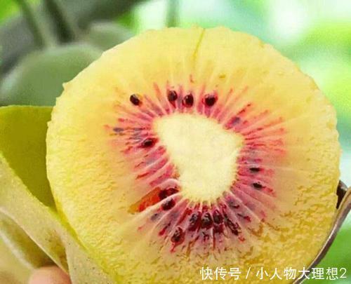 多汁|在秋天,当你遇到这四种时令水果时,你应该多储存香甜和多汁