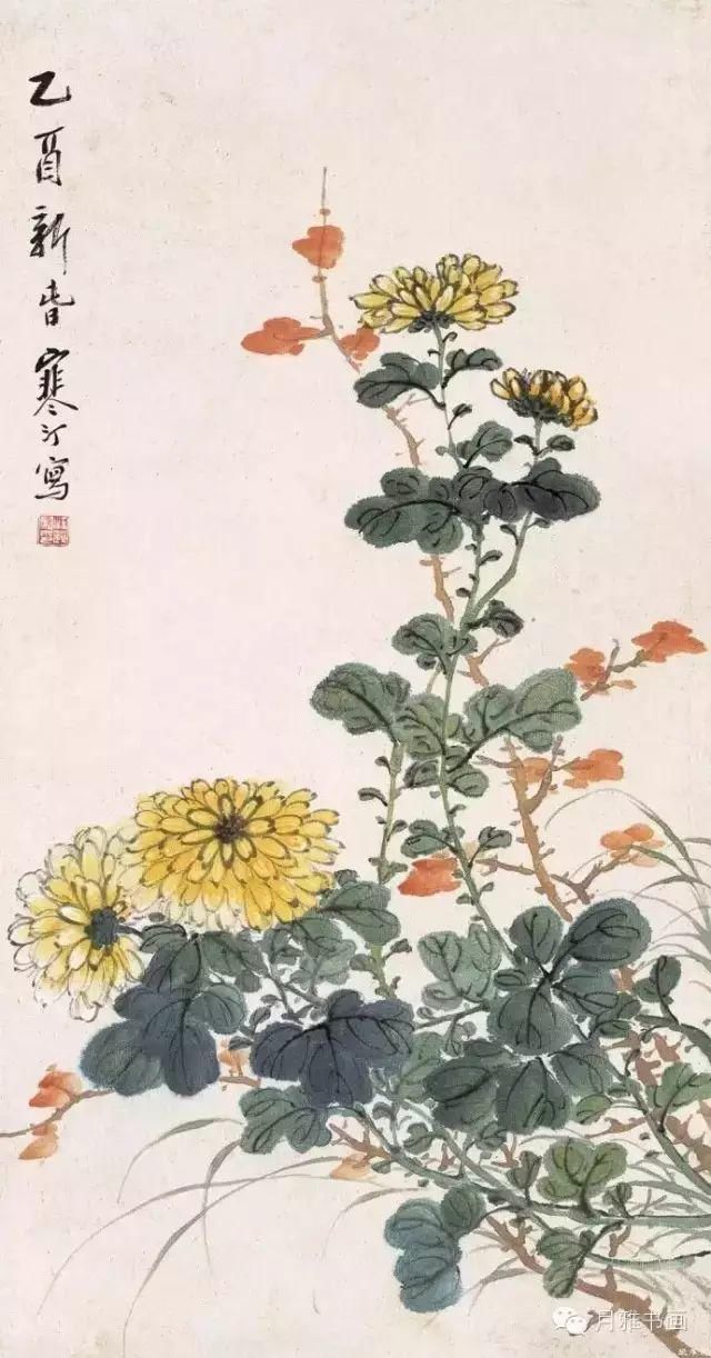  名家|秋菊佳色！——历代名家画菊