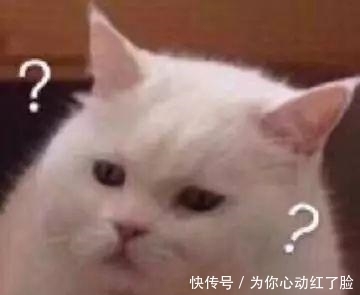 南方人|南方人说: 北方的食物, 是世界上最大的骗子! ?