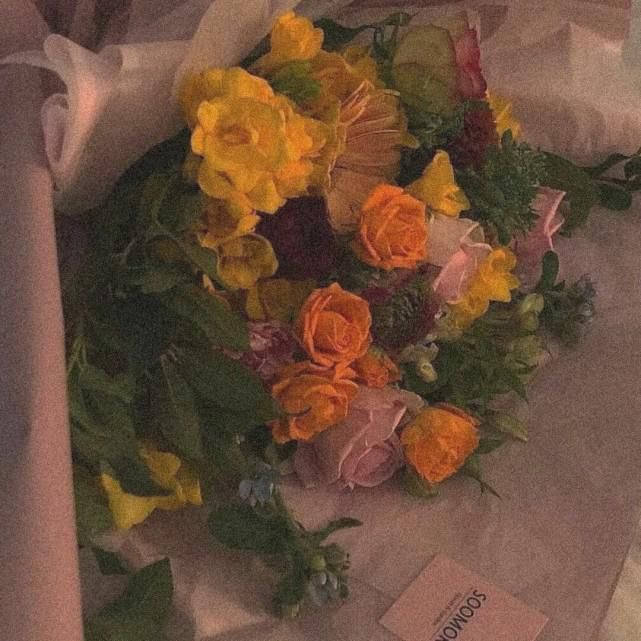  顺风|具有寓意的古风网名·小众文案:说不定随心所欲的生活更顺风顺水呢