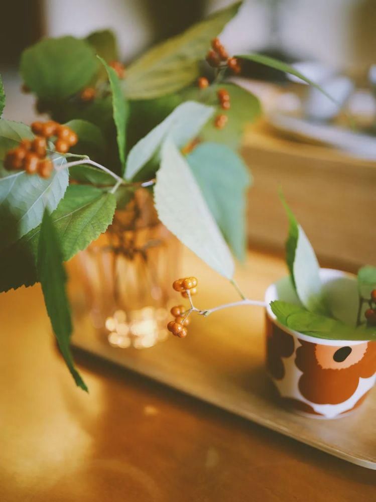  奶奶|我越来越喜欢这样的中国式陪读