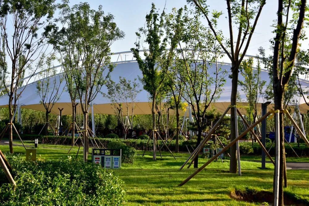  越来越|忻州：今年夏天最美夜景！遗山公园惊艳亮相！忻州越来越好！