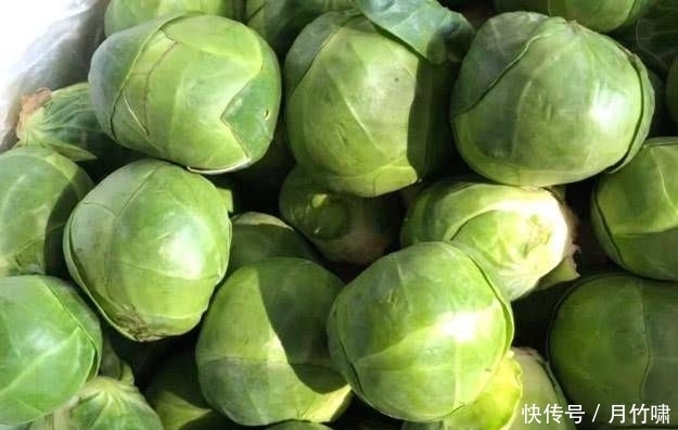  抱子甘蓝|这菜比牛奶补钙，体质变好了，个头嗖嗖长，保护视力