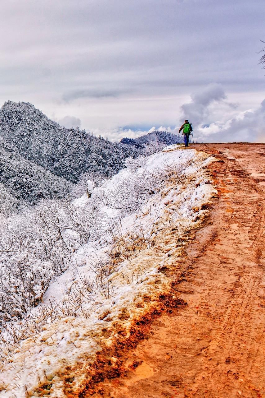  瞒不住|完了！雅安遍地大熊猫的事瞒不住了