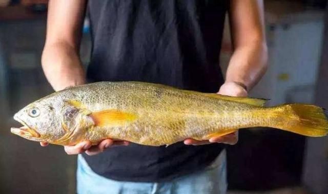 放狠话|世上最贵的5种海鲜，渔民放狠话：只要遇到一条，我就退休不干了