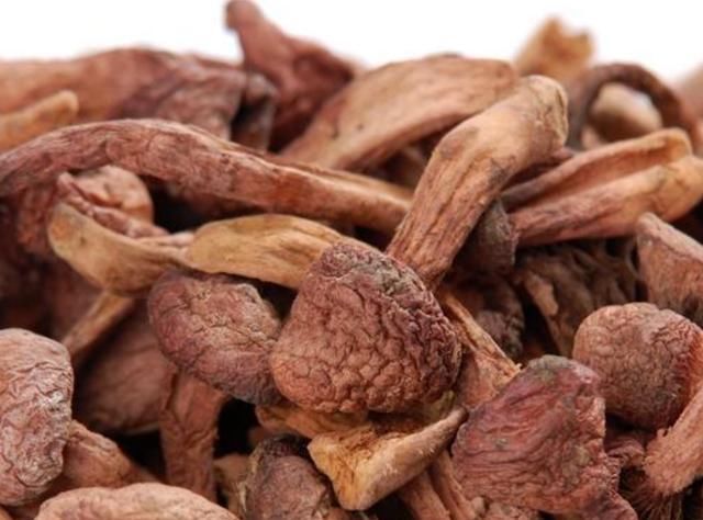  蘑菇|美味蘑菇：血红铆钉菇