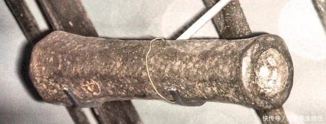 无需|帖木儿帝国没那么强，大明无需担心帖木儿的二十万东征大军