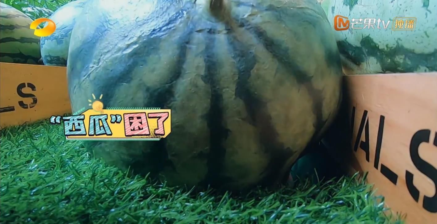  男人|今年最好笑的综艺！胡军杨洋领着一群男人天南海北地玩捉迷藏