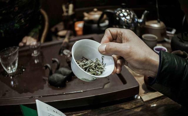 白茶|白茶真的越陈越好吗？