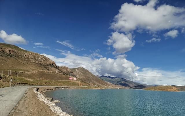  走失|新藏线挑战第二十七天，边牧“拉萨”被主人领走，希望它不再走失