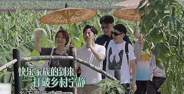 原因|吴昕上《向往的生活》颜值爆表,海涛一句话说明原因,竟惹怒维嘉