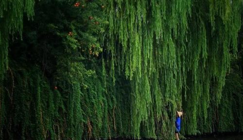  杭州|去了杭州才知道，这才叫生活
