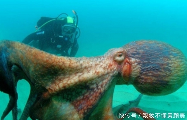 照片|这些照片真的没有经过任何PS处理,每一张都让人腿软!