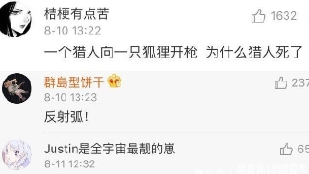 主人|主人第一次带猫坐车出去玩,它的反应哈哈哈