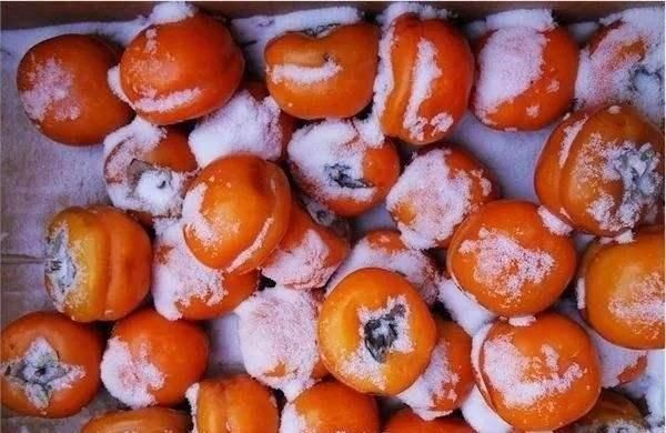 家家户户|北方人最喜欢的“4大冻”,家家户户必需,北方人这东西能吃