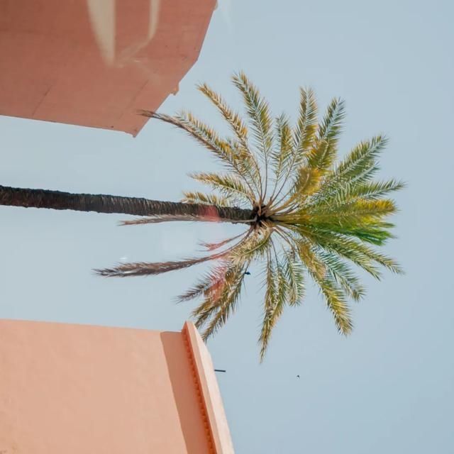  shui|陈燕：光不度，shui水成文