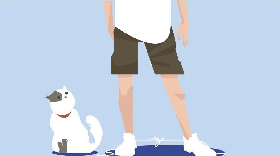 压力|为什么越来越多的人选择独居生活？这组数据戳心了……