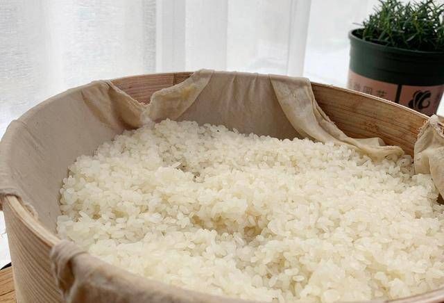 葡萄干|糯米别再包粽子了,试试做糯米凉糕,软糯香甜,我家一周吃三次